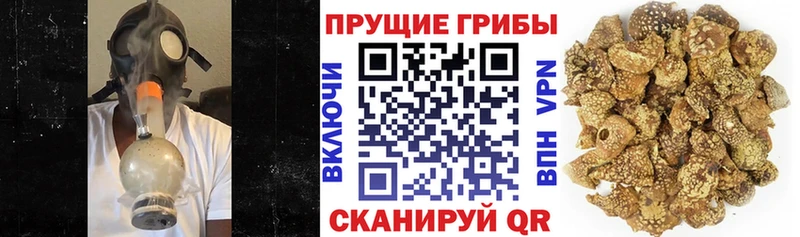 Галлюциногенные грибы Magic Shrooms  ОМГ ОМГ ссылки  Карачев 